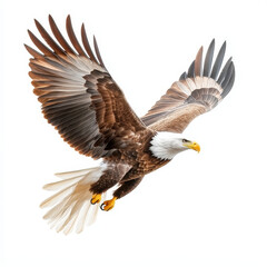 Soaring eagle in mid flight showcasing detailed feathers and powerful wings