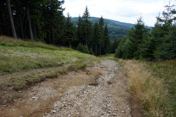 Obraz premium Footpath in Owl Mountains, Poland
