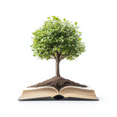 tree growing through open book symbolizes knowledge and life