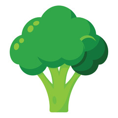 broccoli illustration