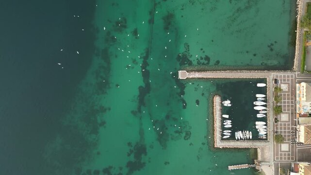 horizontal drone video of Garda lake harbour with boats with green water color and seagull birds flying above it 
