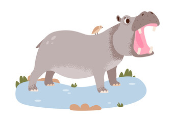 Modern flat vector of a hippopotamus. Hippo in a safari setting.
