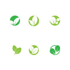 leaf's logo icon vector illustration template design