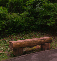 wooden bench with dense vegetation in the background