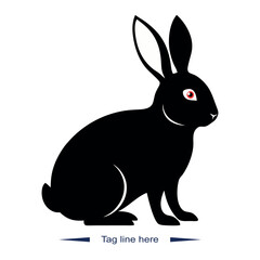 black and white rabbit