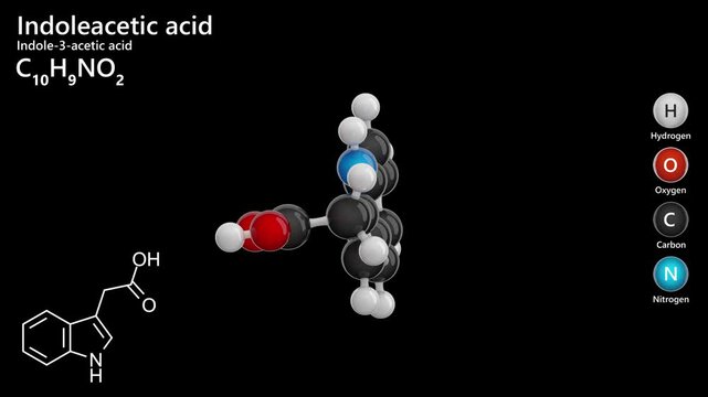 Indoleacetic Acid or IAA. Plant hormone. Animated 3D model of a molecule. Molecular formula: C10H9NO2. Chemical model: Ball and stick. Black background. 3D rendering. Seamless loop.