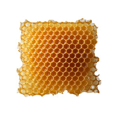 Honeycomb with honey, isolated on a transparent background