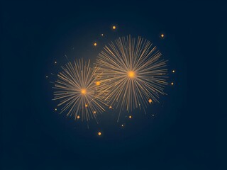 Obraz premium fireworks on the night sky