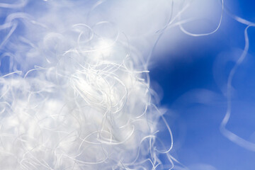 Extreme macro of polyester stable fiber on blue background. Selective focus, shallow depth of...