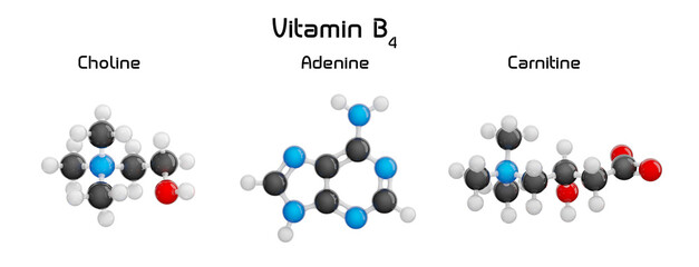 Group of vitamin B4: Adenine (C5H5N5), Carnitine (C7H15NO3), Choline (C5H14NO). Isolated on the transparent background. PNG transparent. 3D illustration.
