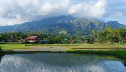 Obraz premium Tranquil Rice Paddies and Lush Green Mountains under a Cloudy Sky