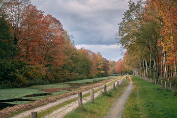 Autumn Colors Quiet Canal with trees and Pathway in Drenthe, Netherlands