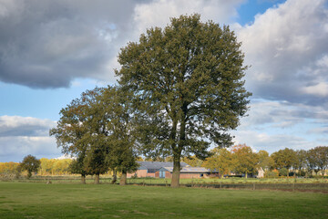 Rural landscape with trees and farmhouse near Wijster, Drenthe, Netherlands