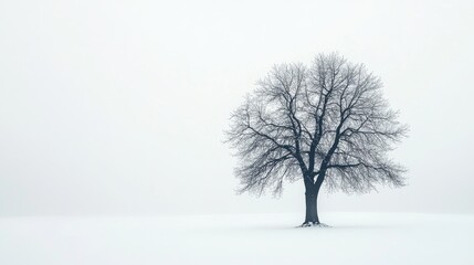 Lonely Leafless Tree in Minimalist Winter Landscape against White Background