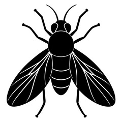 High-Quality Fly Vector Design