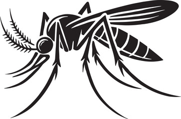 black and white mosquito