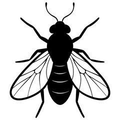 High-Quality Fly Vector Design