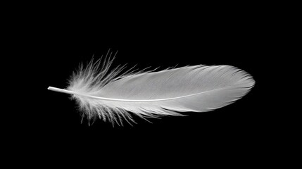 Obraz premium Single delicate white feather isolated on a dark background symbolizing purity and simplicity in design and nature themes.