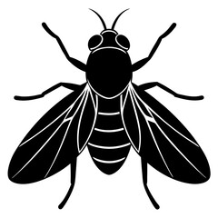 High-Quality Fly Vector Design