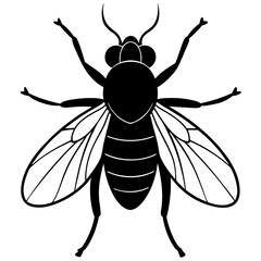 bee isolated on white