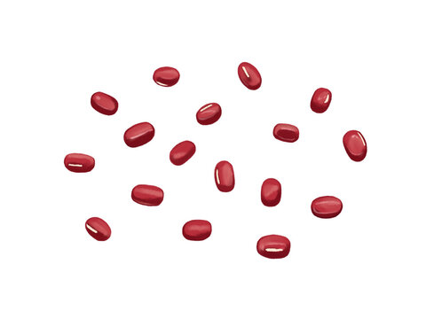 小豆 豆類 手描き