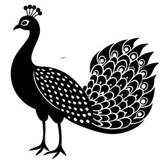 Intricate Peacock Tail Vector - High-Quality Black and White Illustration