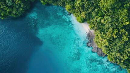 Obraz premium Aerial view of pristine turquoise waters meeting lush green shores on a tropical island paradise