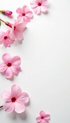 Fototapeta premium Pastel pink blooms scattered on a clean white surface, minimalism, clean
