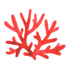 Red coral watercolor illustration for marine life, aquarium, ocean and summer holiday concept.