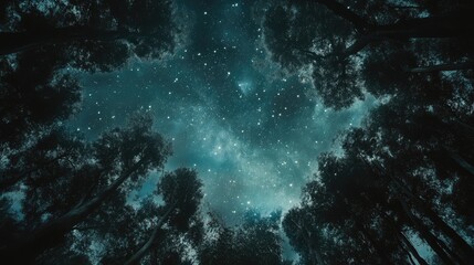 Obraz premium Starry Sky Over Tall Forest Trees in Nighttime Ambience with Ethereal Blue Tones and Twinkling Stars