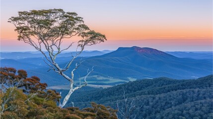mountain view from above decorated with grass