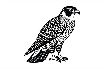 falcon vector, icon vector illustration,  falcon silhouette of a falcon  isolated on a white background, eps, png, svg,  vector,