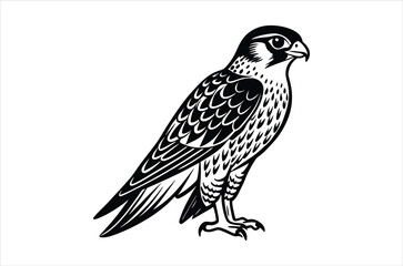 falcon vector, icon vector illustration,  falcon silhouette of a falcon  isolated on a white background, eps, png, svg,  vector,