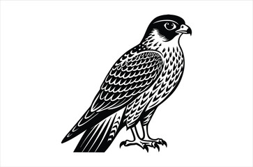 falcon vector, icon vector illustration,  falcon silhouette of a falcon  isolated on a white background, eps, png, svg,  vector,