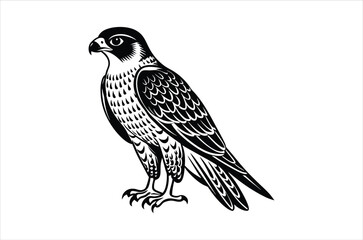 falcon vector, icon vector illustration,  falcon silhouette of a falcon  isolated on a white background, eps, png, svg,  vector,