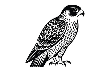 falcon vector, icon vector illustration,  falcon silhouette of a falcon  isolated on a white background, eps, png, svg,  vector,