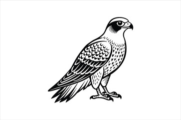 falcon vector, icon vector illustration,  falcon silhouette of a falcon  isolated on a white background, eps, png, svg,  vector,