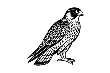 falcon vector, icon vector illustration,  falcon silhouette of a falcon  isolated on a white background, eps, png, svg,  vector,