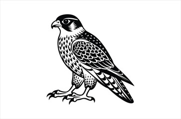 falcon vector, icon vector illustration,  falcon silhouette of a falcon  isolated on a white background, eps, png, svg,  vector,