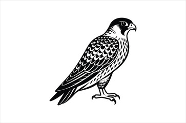 falcon vector, icon vector illustration,  falcon silhouette of a falcon  isolated on a white background, eps, png, svg,  vector,