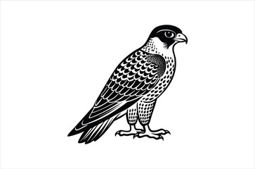 falcon vector, icon vector illustration,  falcon silhouette of a falcon  isolated on a white background, eps, png, svg,  vector,