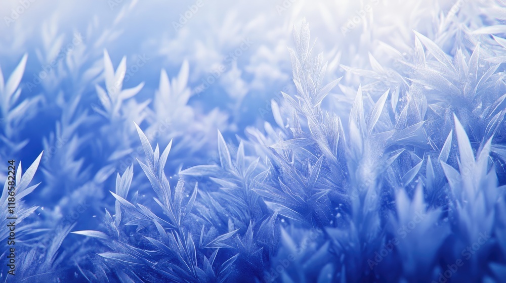 Aufkleber frosted grass in a serene winter forest with soft light creating a tranquil and magical atmosphere