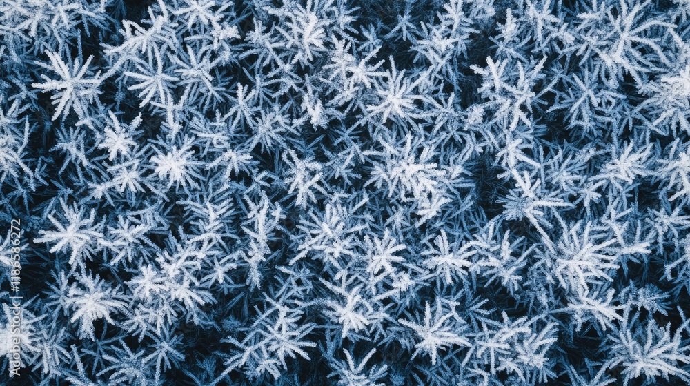 Aufkleber frost and ice patterns on grass in winter morning light creating a serene and tranquil icy texture b