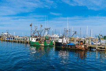 A view of boats moored in the harbor at Newport, USA in the fall