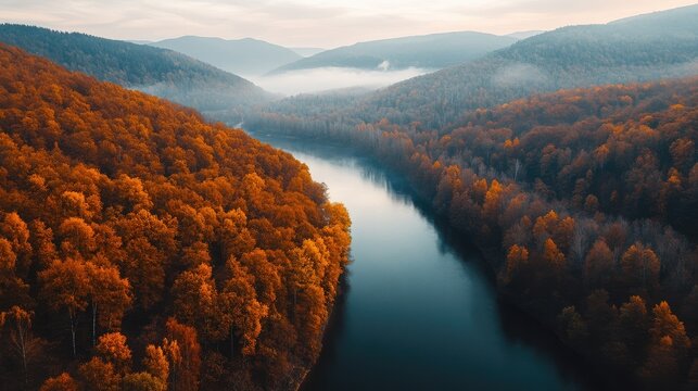 Aerial view of vibrant autumn foliage along a winding river surrounded by mountains in a serene atmospheric landscape with copyspace for text