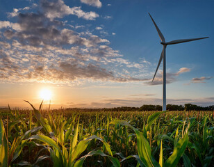 A wind turbine stands tall among a lush corn field during a dramatic sunset with scattered clouds in the sky.	