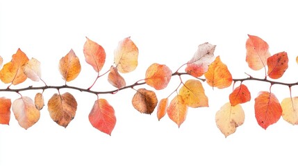 Fototapeta premium Seamless autumn leaves border with vibrant colors on white background perfect for seasonal designs and nature-themed projects