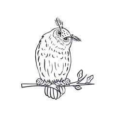 Hand drawn black and white line art eagle-owl sitting on tree branch isolated on white background. Monochrome nocturnal bird vector illustration.