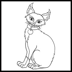 Cartoon funny cat sitting line art