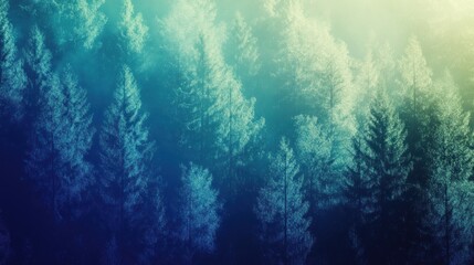 Obraz premium Misty forest scene with evergreen trees in blue and green hues.